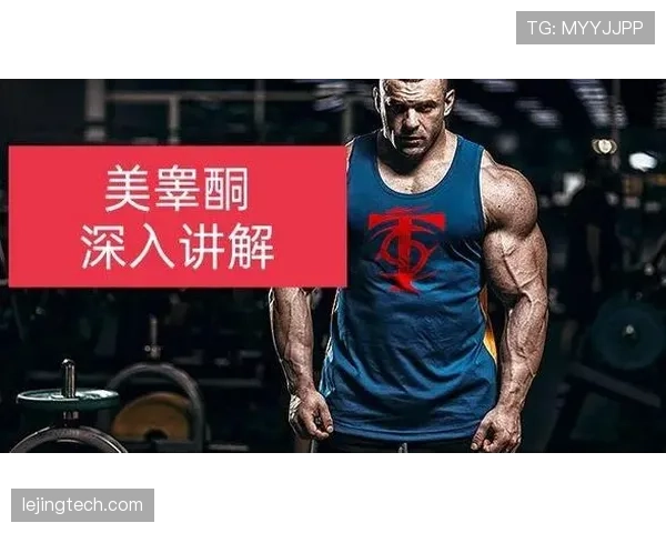 深入解析篮球视频回放判罚规则的执行标准 深入解析篮球视频回放判罚规则的执行标准